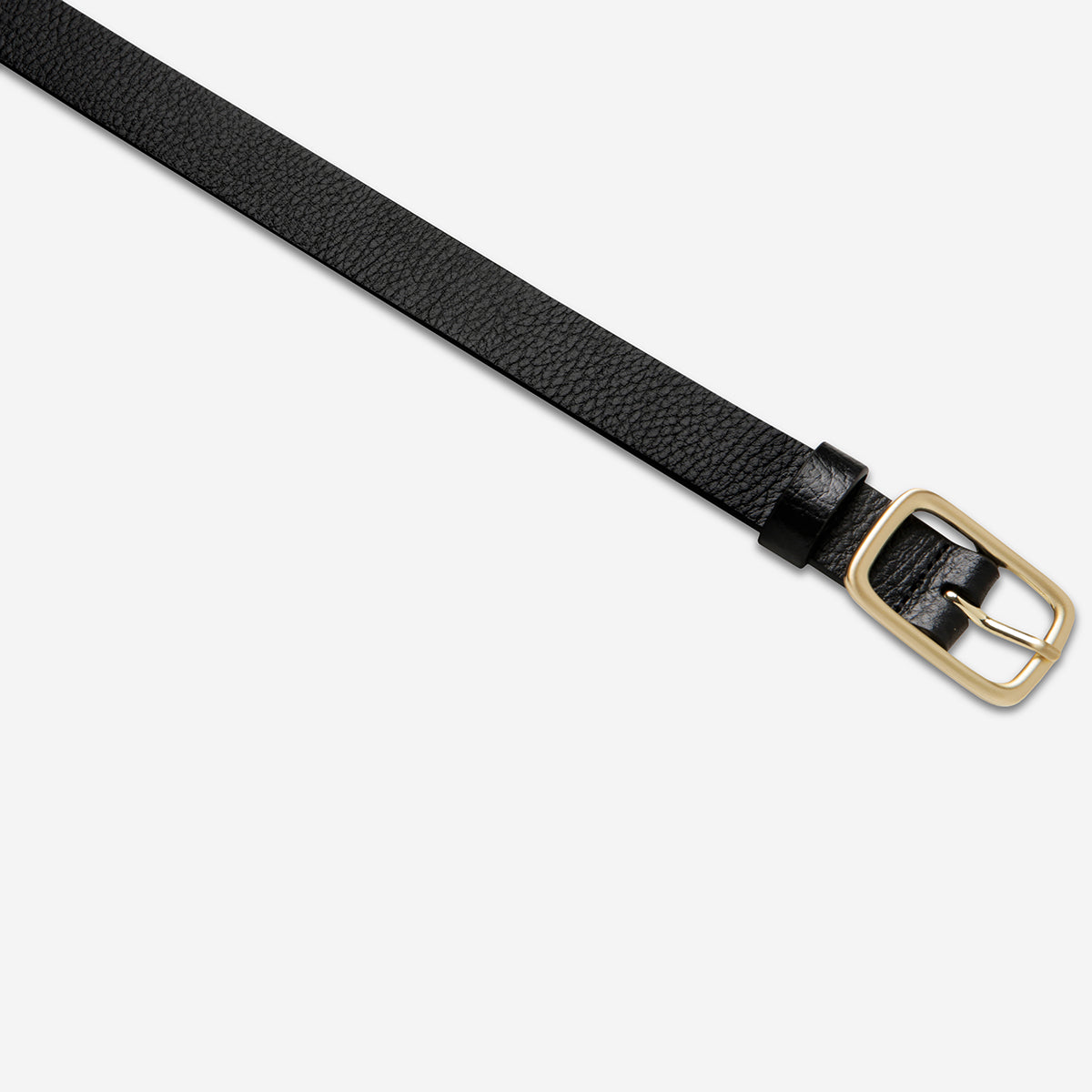 Nobody's Fault Belt - Black/Gold: The Ultimate Versatile Accessory